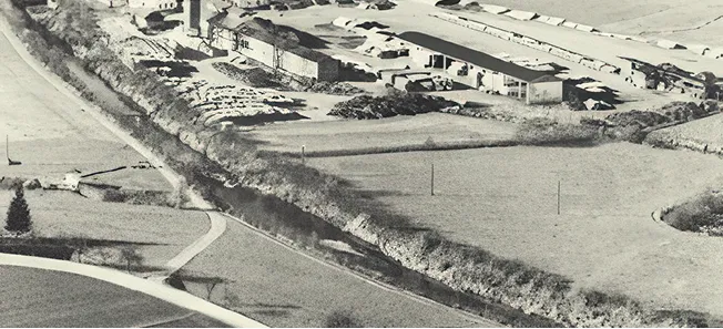 Stallinger Sägewerk 1950-1960