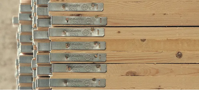 Stallinger Expansion 2009