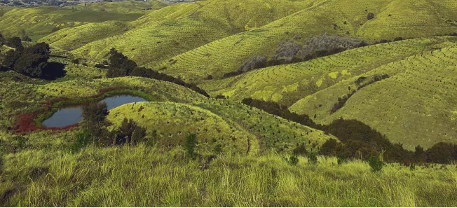 Investitionstätigkeiten 2019-2023