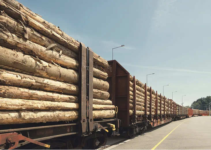 Regional Verwurzelt Mobile